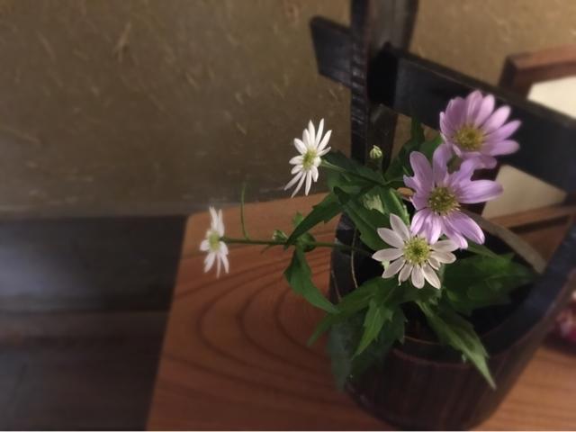 Hotel Ryosou Komatsu Bessou Kokonoe Exteriér fotografie